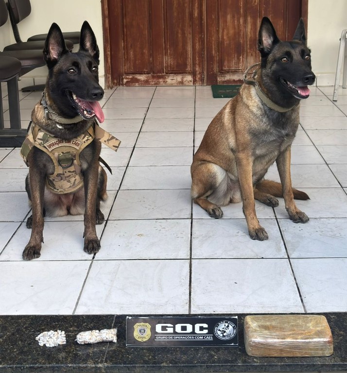 WhatsApp Image 2026-03-06 at 15.23.11.jpeg