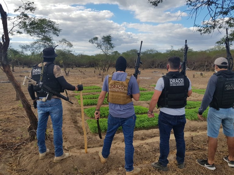 120721 - Operação policial na Paraíba desarticula organização criminosa.jpeg